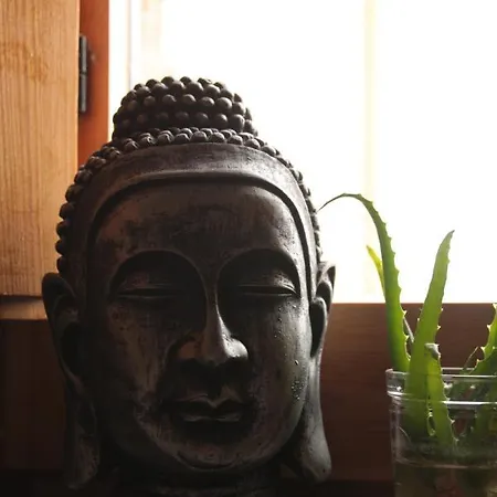 Ca La Martona Pansiyon Rubio de Dalt