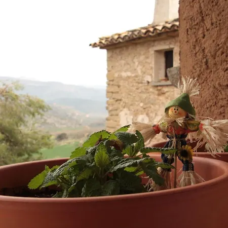 Homestay Ca La Martona *