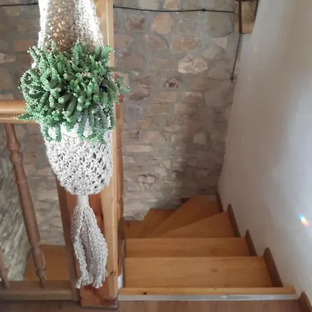 Homestay Ca La Martona *