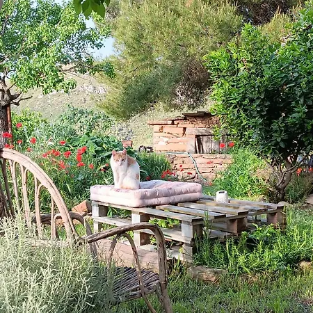 Ca La Martona Homestay szállás
